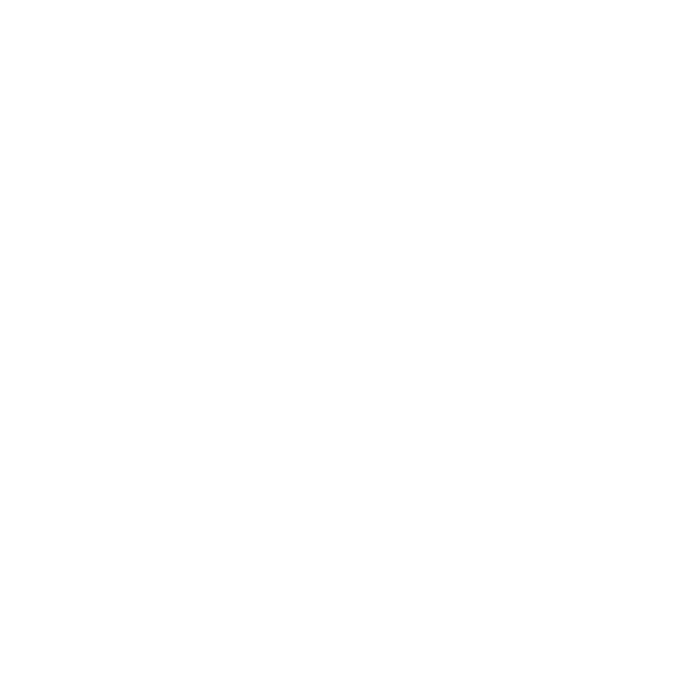 Website Vidya - About